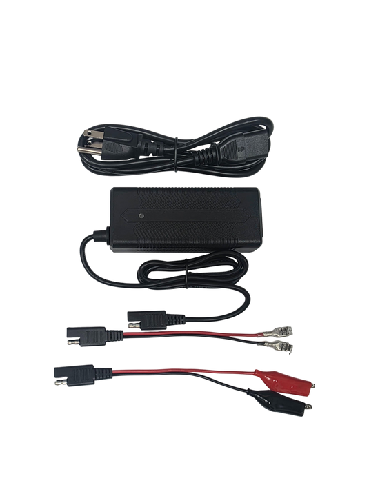 LiFePO4 Lithium Battery  3A Charger