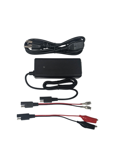 LiFePO4 Lithium Battery  3A Charger