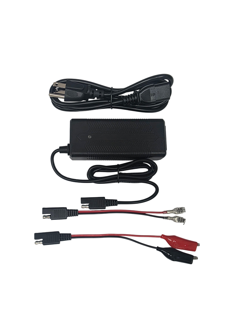 Load image into Gallery viewer, LiFePO4 Lithium Battery  3A Charger
