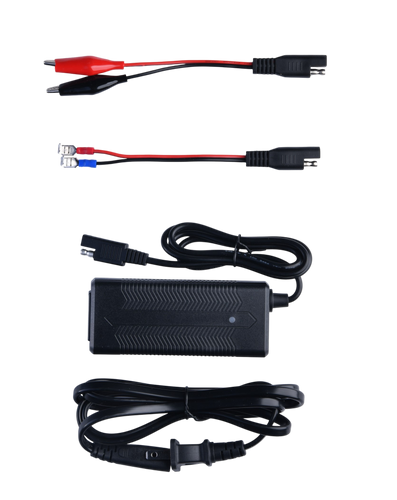 LiFePO4 Lithium Battery  3A Charger