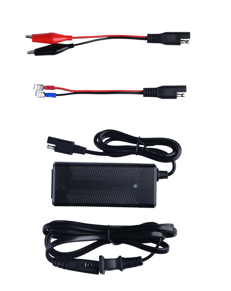 Load image into Gallery viewer, LiFePO4 Lithium Battery  3A Charger
