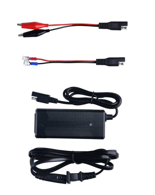 LiFePO4 Lithium Battery  3A Charger