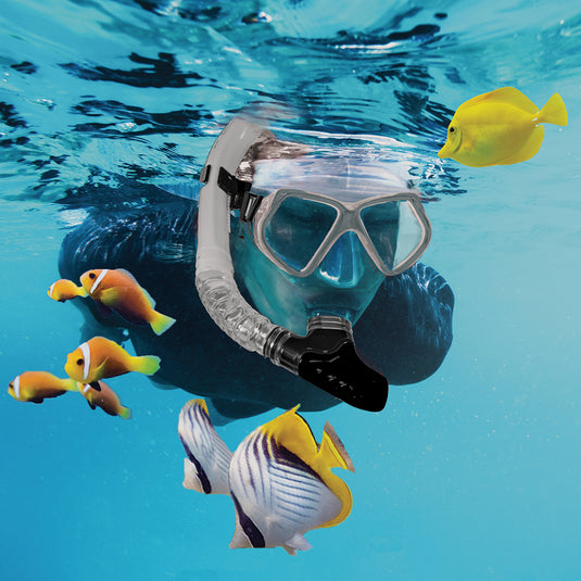 Aqua Leisure Dyna Adult 5-Piece Dive Set - Adult Size L/XL Mens 8.5-11.5/Ladies 9.5-12.5 [DPX18230S4L]